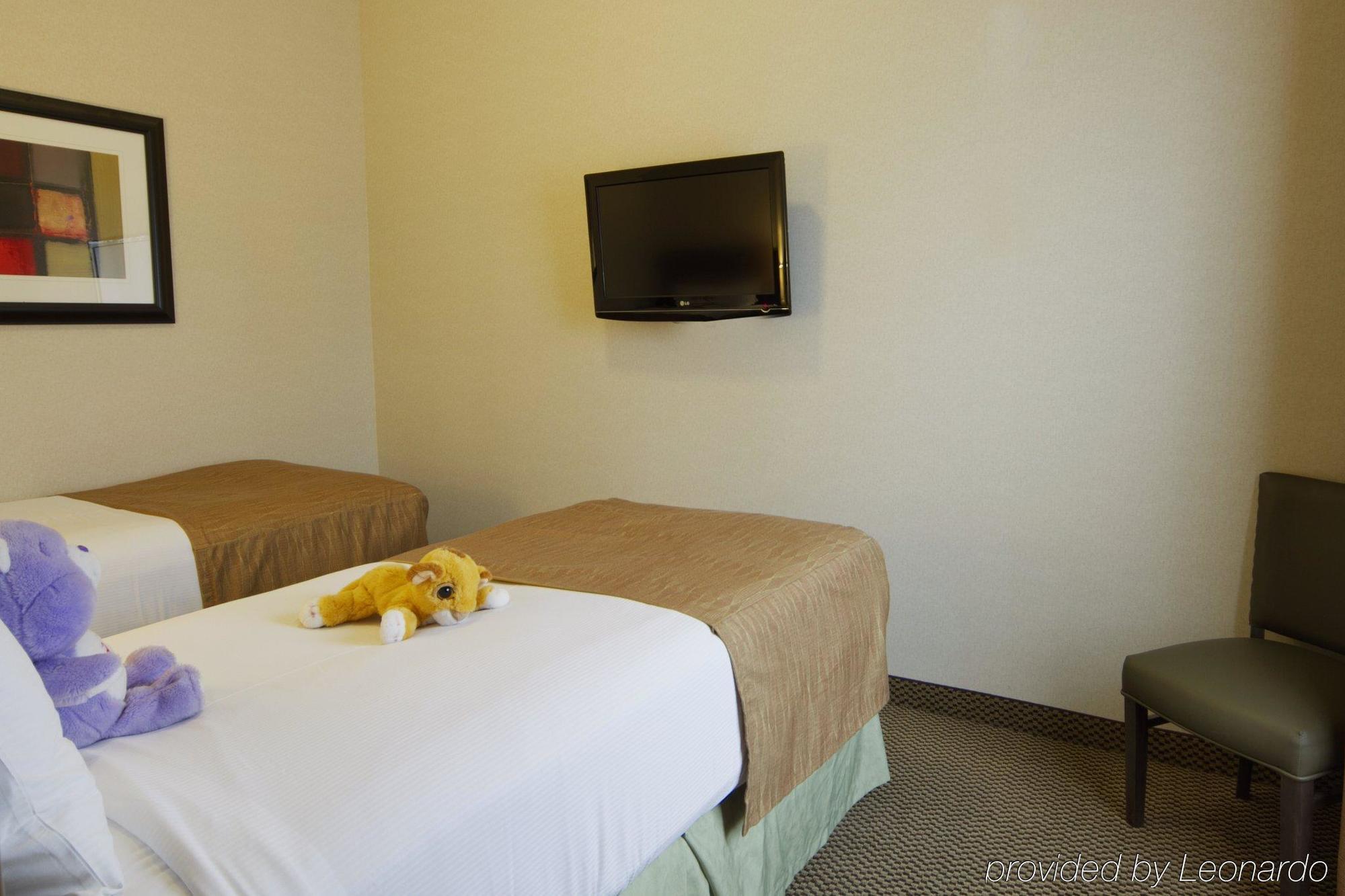 Best Western Wainwright Inn & Suites Quarto foto