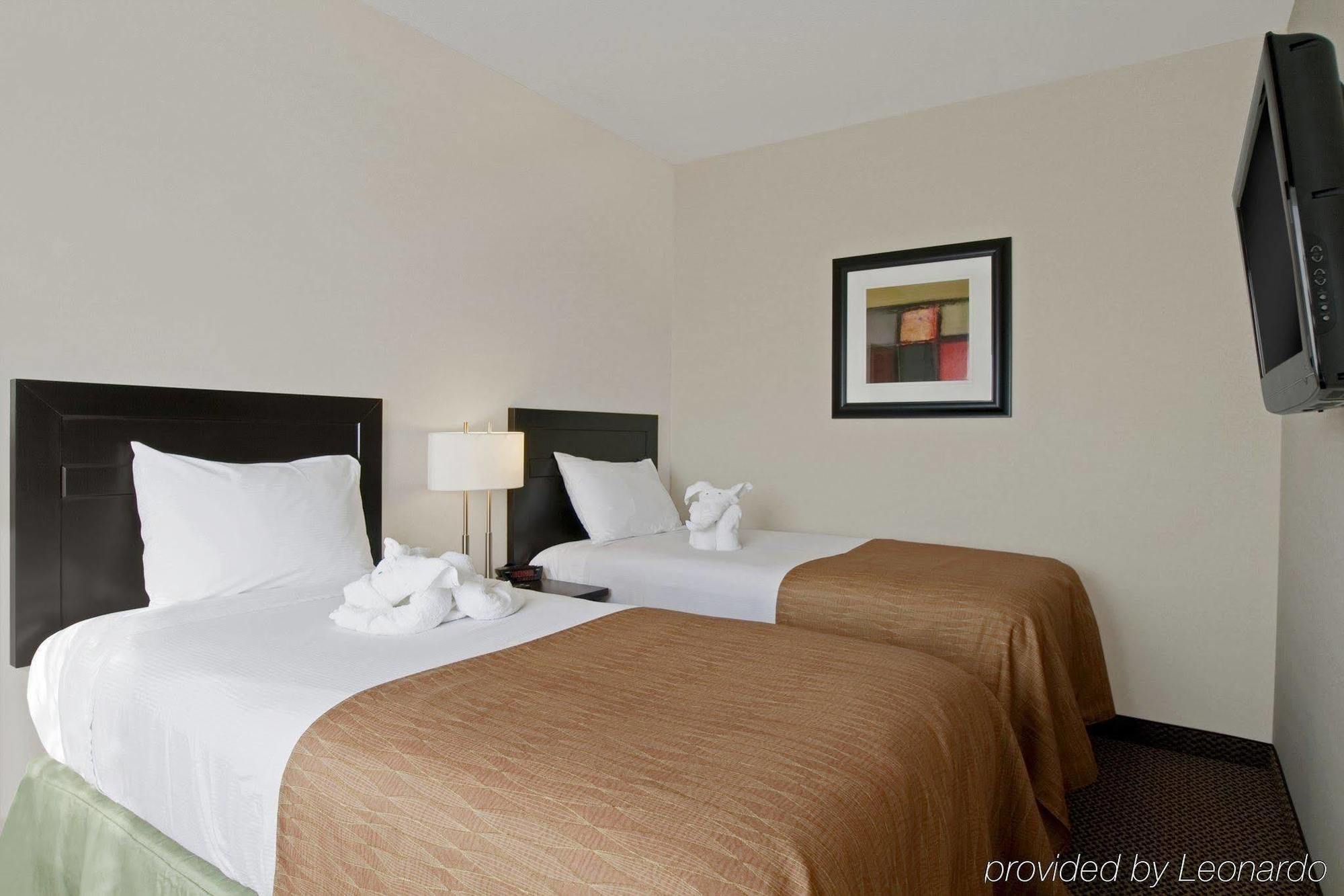 Best Western Wainwright Inn & Suites Quarto foto